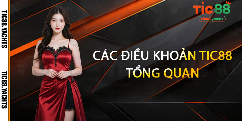 Các điều khoản TIC88 tổng quan